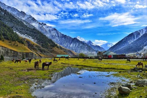 Kashmir Tour Packages For Family